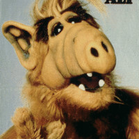 Alf Stirrup