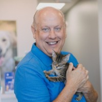Greg Stewart
