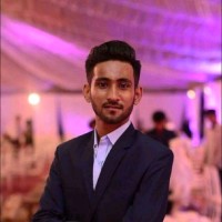 Syed Taqi Haider
