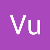 Long Vu