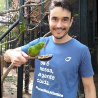 Henrique Luís Tavares