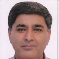 Vikas Raina