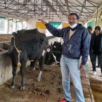 Dr Brajesh Singh