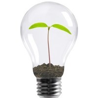 Kevin W. Yockey -The Bulb Guy