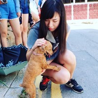 Danlei HUANG