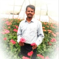 Naga Pasupathi