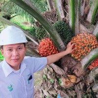 Rico Dian Sahputra