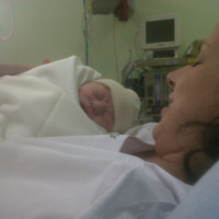 Lic. Guadalupe del Canto