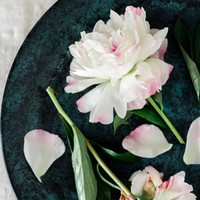 中联李青