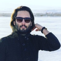 soheil hamidi
