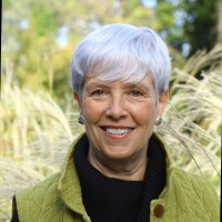 Dolores McDonagh