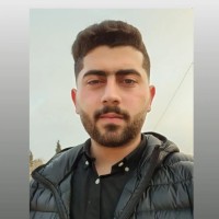 Amr Rommaneh