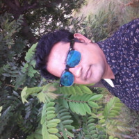Prince_Mr Distributor