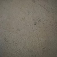 شنوده اسحق