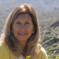 Lorri Ambrosi