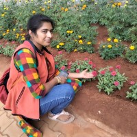 Anusha B