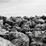 Carsten Hons