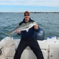 Mike Chaponis