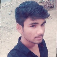Palanichamy P
