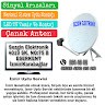 Sezgin elektronik