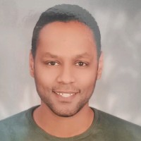 Hesham Abayazied