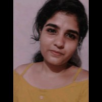 Vidya N T
