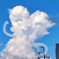 王圣强
