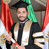 Maged Mostafa, Mba