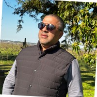 Humberto Brasil