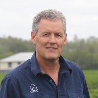 Warwick Waters
