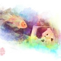 徐浩哲