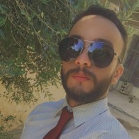 Alaa Hussien