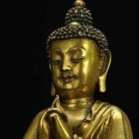刘洪磊