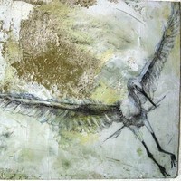 Debra Facchin