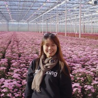 Hang Nguyen