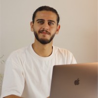 Aly Wehbe