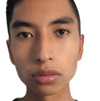 Francisco javier Pizano rivera