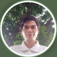 Hadi Hanafi Parinduri