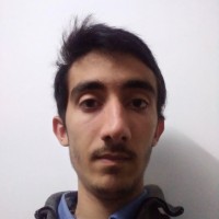 Mohammad javad Hatami