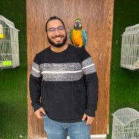 Ahmed Yasser