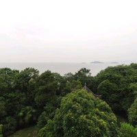 沙佳辰