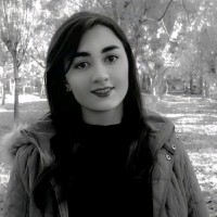 Sara adibi