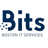 Jobs Boston It Services