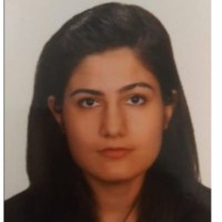 Melek Gökçe Zengin