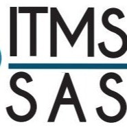 IT MANAGER SERVICES SAS