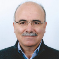 Luis M. Camarinha-Matos