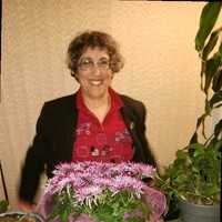 Laurie Projansky Fleischman, CPA