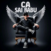 CA Sai Babu Chavvakula