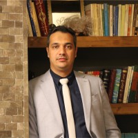 hadi davari