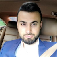 Rebin Ali
